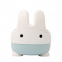 POT LAPIN